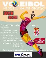 Cartel Voleibol