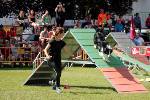 Participante del IV Trofeo de Agility ‘ Reino de León’